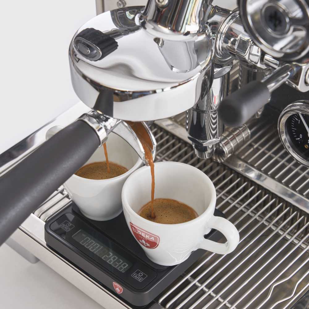 Eureka Pura Espressomachine - RVS