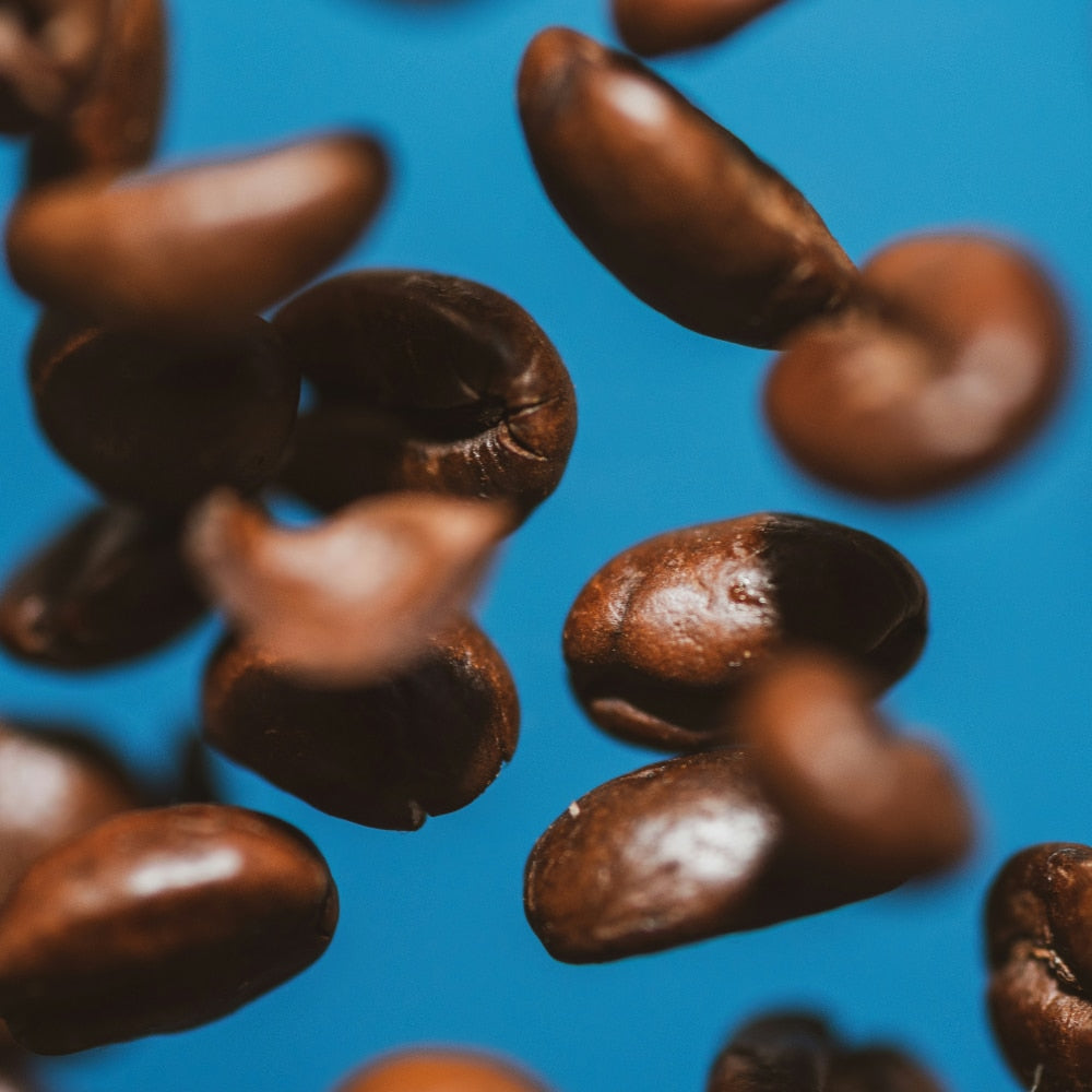 Dibar Mundo Novo Biologische Koffiebonen