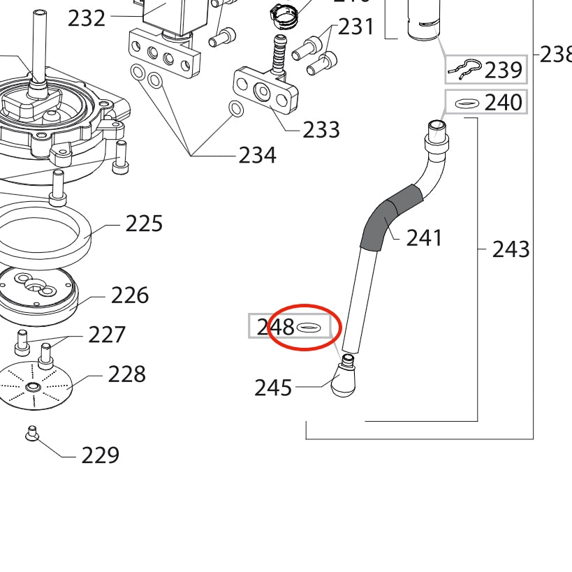 Gaggia Classic Stoomptip pakking