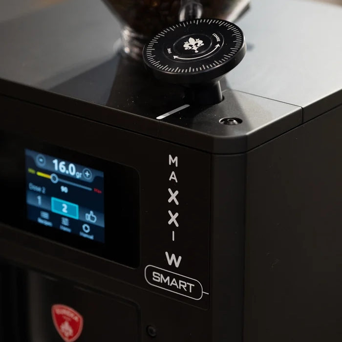 Eureka Maxxi W Smart