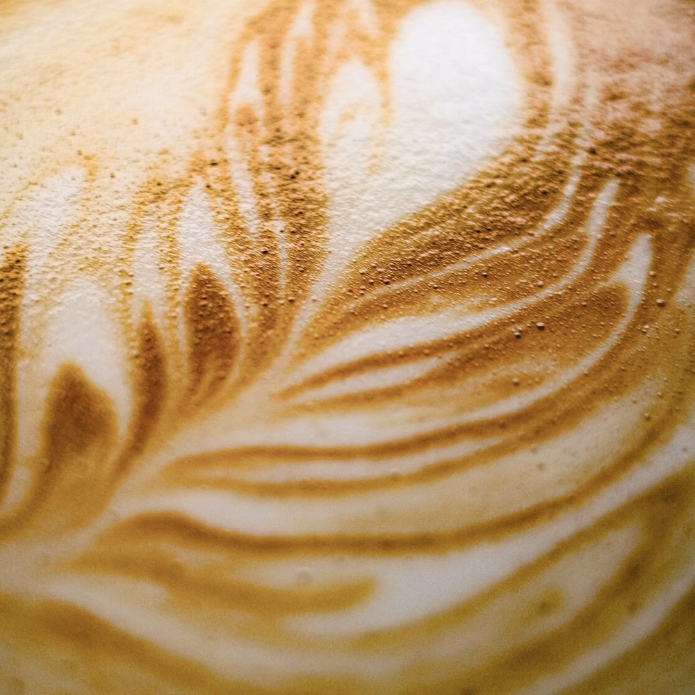 Dibar Mundo Novo Biologische Koffiebonen